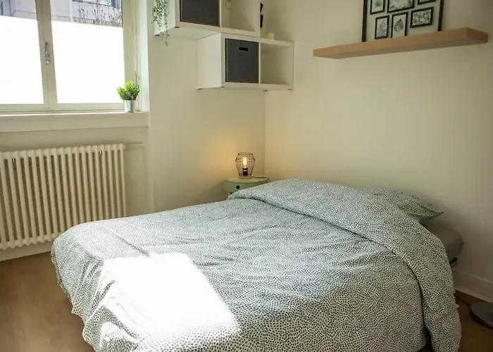 דירה Cosy Et Idealement Place גרנובל