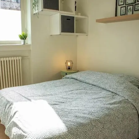 Appartement Cosy Et Idéalement Placé Grenoble