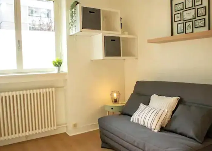 Apartment Cosy Et Idealement Place Grenoble